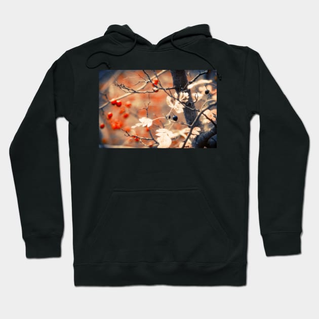 Autumn Forest Hoodie by cinema4design